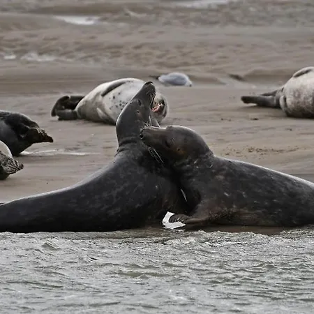 Διαμέρισμα Leperi5scope Berck